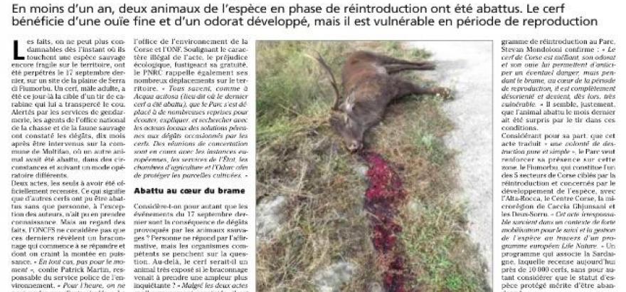 Deer poaching in Corsica