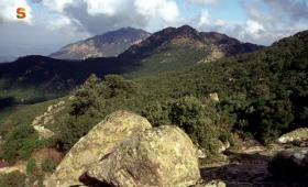 Paesaggio del Monte Arcosu 