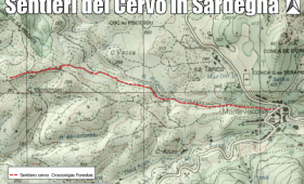 uno dei 4 sentieri del Cervo in Sardegna
